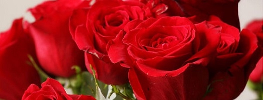 Relationship Advice: Great Ways to Say I Love You